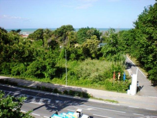 Hotel Florida Tirrenia Esterno foto